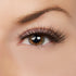 Making Moves Lash Style